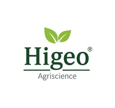 higeo